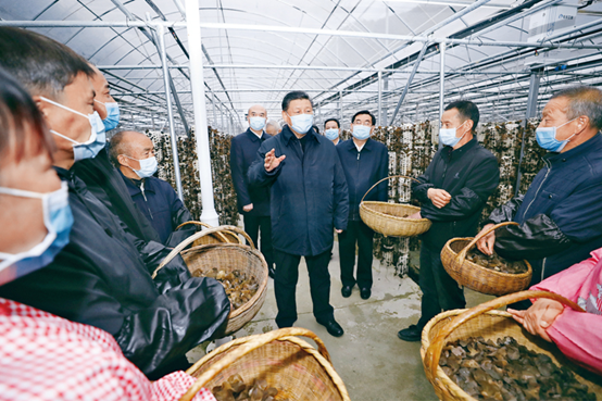 1642561196668369.png image.png